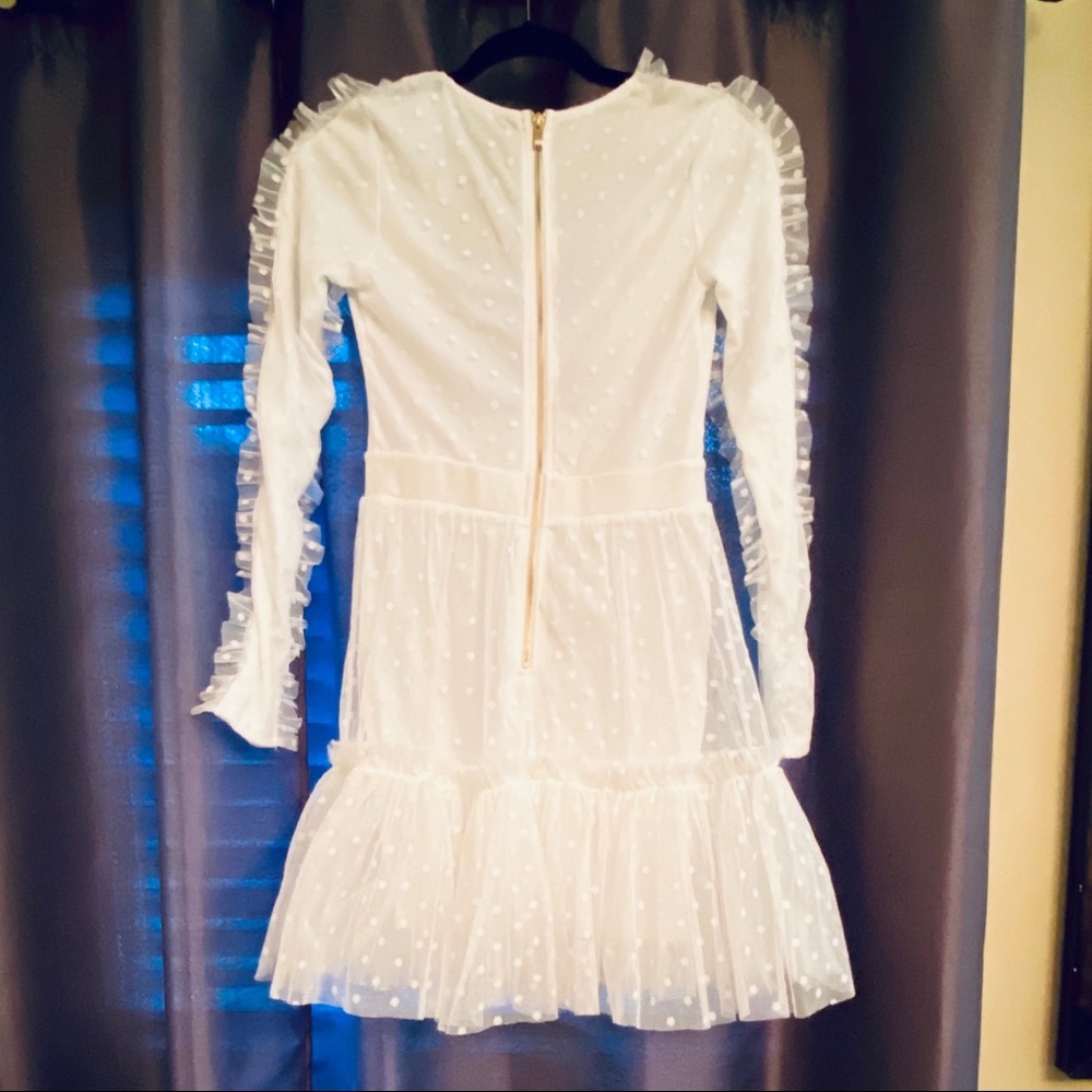Issa Look Mesh/Lace Dress - Picture 6 of 8